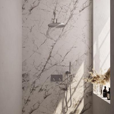 Brauer Brushed Edition Thermostatische Regendoucheset Inbouw - Hoofddouche 30 cm - Gebogen Wandarm - Met Drukknoppen - Handdouche Staaf - Doucheslang - Wandaansluitbocht - Rvs