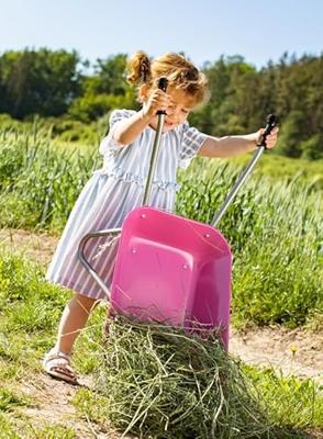 Rolly Toys Kruiwagen Roze