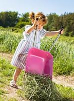 Rolly Toys Kruiwagen metaal roze/grijs - thumbnail