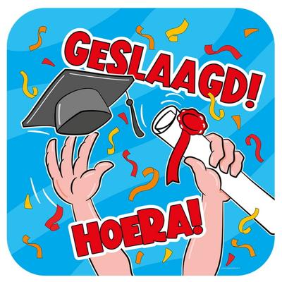 Paperdreams huldeschild geslaagd cartoon