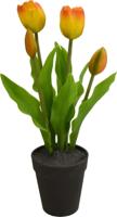 Tulp in pot 30,5 cm rood/geel Driesprong Collection - Driesprong collection - thumbnail