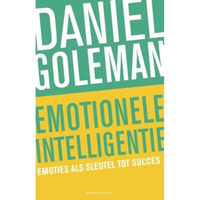 Emotionele intelligentie (Paperback)