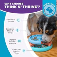 NINA OTTESSON PUPPY LICKIN LAYERS 17X17X6 CM - thumbnail