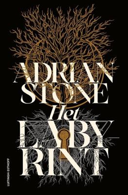 Het labyrint - Adrian Stone - ebook