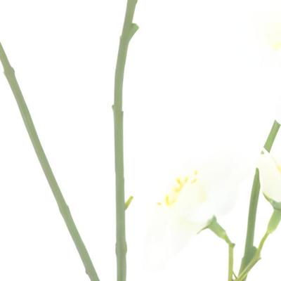 Mini zinnia spray white 88 cm kunstbloem Erutan Avon - Erutan avon