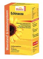 Echinacea Extra - thumbnail