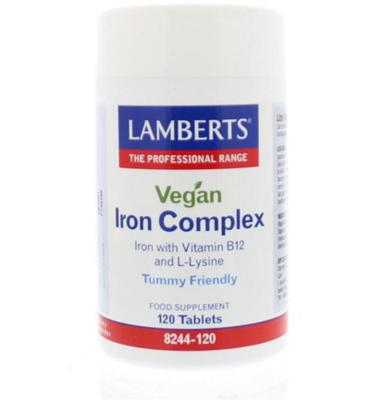 Lamberts IJzer complex vegan (120 tab)