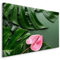Schilderij - Roze bloem met Monstera Bladeren, Premium Print - thumbnail