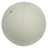 Leitz Ergo Active 65420085 1 stuk(s) - thumbnail