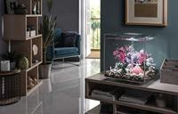 BiOrb kiezelsteen set wit aquarium stenen - thumbnail