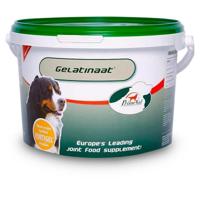PRIMEVAL GELATINAAT HOND 2 KG - thumbnail