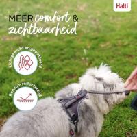 Hondentuigje Company of Animals Grijs L 42-65 cm - thumbnail