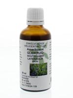 Cruydhof Scutellaria Laterifolia Hrb/Amerikaans Glidkruid Drupppels - thumbnail