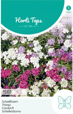 Zaden Iberis Scheefbloem gemengd Hortitops - Hortitops
