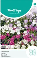 Zaden Iberis Scheefbloem gemengd Hortitops - Hortitops - thumbnail