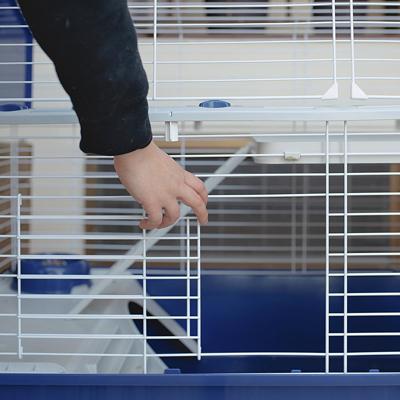 FERPLAST Barn 100 - Kooi (8010690172507)