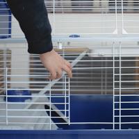 FERPLAST Barn 100 - Kooi (8010690172507) - thumbnail