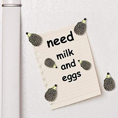 Trendform Magnetische Egel - set van 6 verschillende