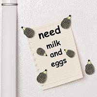 Trendform Magnetische Egel - set van 6 verschillende - thumbnail