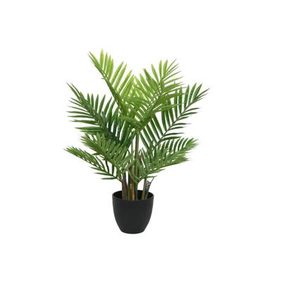 Palmboom in pot 61x61x73cm