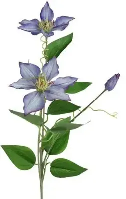 Kunstbloem Clementis 20x15x76 cm blauw Countryfield - Countryfield