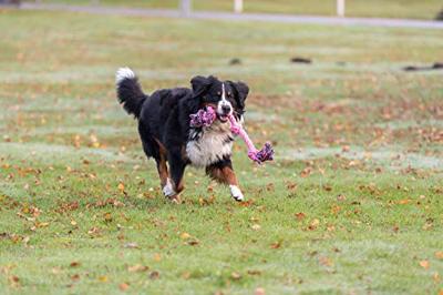 Trixie flostouw 3 knoop assorti
