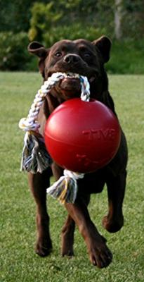 Jolly Romp-n-Roll Vanille L (20 cm)