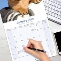 Bullmastiff Kalender 2026 - thumbnail