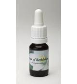 Star of Bethlehem - thumbnail