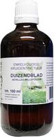 Duizendblad BIO - thumbnail