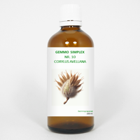 Balancepharma Gemmo simplex 10 corylus avellana 100 Milliliter - thumbnail