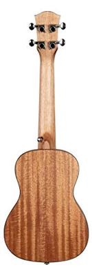 Cascha HH 2151 concert ukelele set