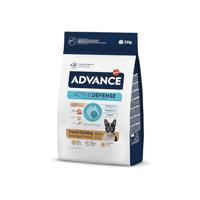 ADVANCE ADULT FRENCH BULLDOG - thumbnail