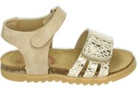 Develab 48500 - alle - thumbnail