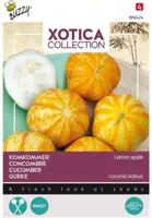 Xotica Komkommer Lemon Apple zaden Buzzy - Buzzy - thumbnail