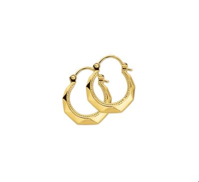 Oorringen Lapide geelgoud 14 mm
