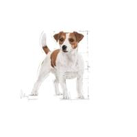 Royal Canin Mini Adult hondenvoer 2 kg - thumbnail