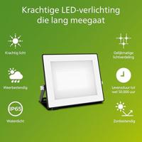 Philips LED Lois 929004641901 LED-buitenschijnwerper 30 W Lichtkleur (naam): Koudwit - thumbnail