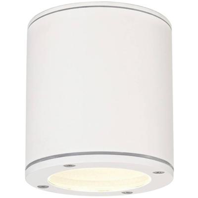 SLV 231541 Sitra Buitenplafondlamp LED, Spaarlamp GX53 9 W Wit