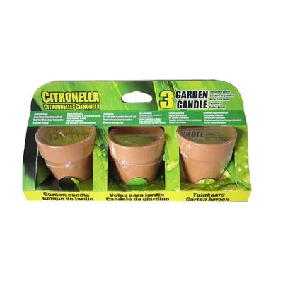 Citronellakaarsen in Terracotta Potje 6.5 cm 3 Stuks