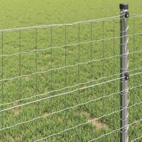 Euro Hek Zilver 0.6 x 25 m Warmverzinkt ijzer - thumbnail