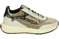 Floris van Bommel SUVI 03.04 - alle - thumbnail