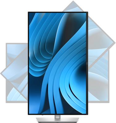 DELL Pro Plus P2725D 27 Quad HD 100Hz IPS monitor