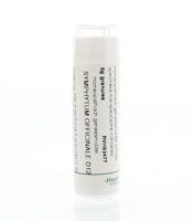 Symphytum officinale D12 - thumbnail