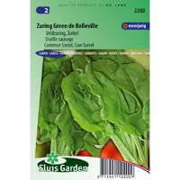 Zuring zaden Green de Belleville rumex - thumbnail