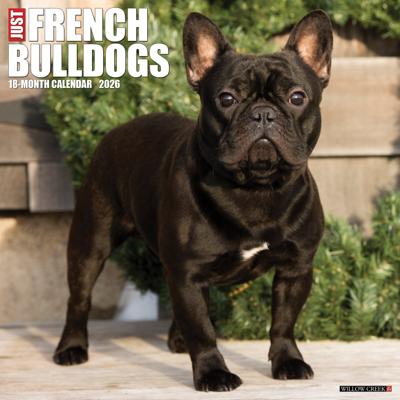Franse Bulldog Kalender 2026