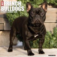 Franse Bulldog Kalender 2026 - thumbnail