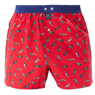 McAlson boxer Rally cars rood