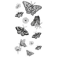 Sizzix • clear stamp set nature butterflies 13pcs - thumbnail