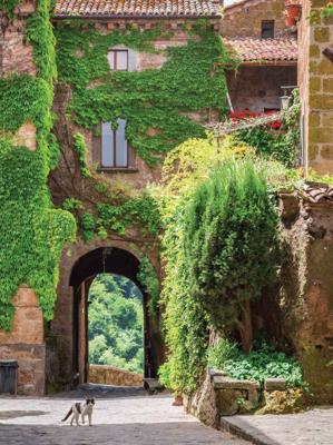 Klimop poes 50x70cm Tuinschilderij Customize-it - Customize it